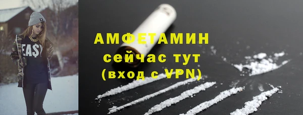 гидра Вязники